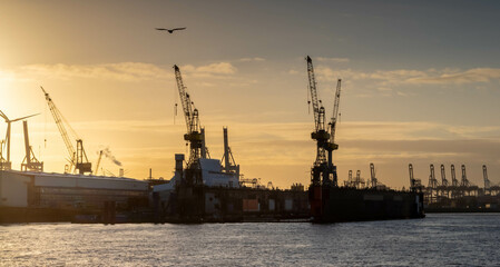 Hamburg Harbour germany freight cranes