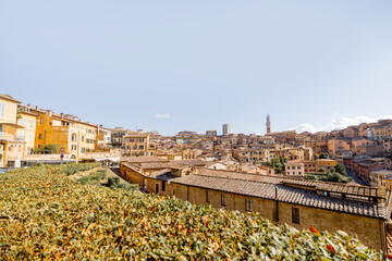 Fototapeta premium Cityscape of Siena town in Tuscany region of Italy. Concept of travel Italy