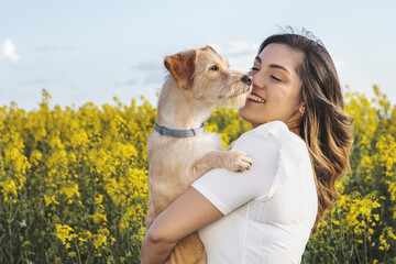 young woman hugging her dog, in a field of yellow flowers. High quality photo