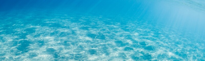 Fototapeta na wymiar Underwater Background Very Cool
