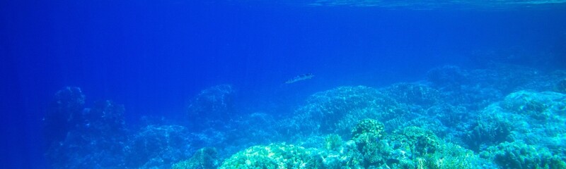 Underwater Background Very Cool