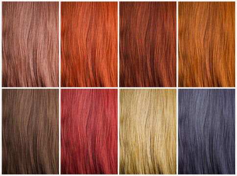Hair Colour Chart Images – Browse 7,032 Stock Photos, Vectors, and
