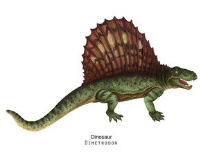 Green Dimetrodon illustration. Sail-backed Dinosaur, brown crest on back. - 519979601