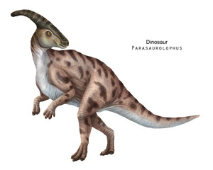 Parasaurolophus illustration. Beige Dinosaur, herbivorous ornithopod