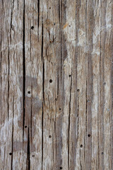 Wood grain texture