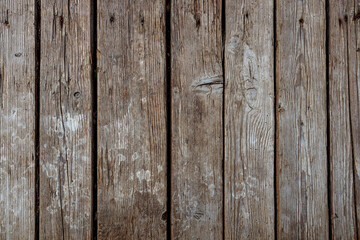 Wood grain texture