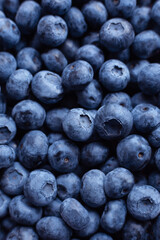 Lots of fresh blueberries close-up top view. A handful of sweet ripe blueberries.