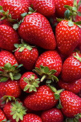 Lots of strawberries. A handful of sweet ripe strawberries. Combination of red and green.