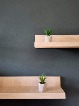 Wooden wall shelves with succulent plants in concrete pots on dark grey background