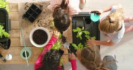Students, young children and school kids learning about gardening, pot plants and nature from above. Group of girls and friends doing botany project for education to teach care and conservation
