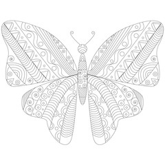 Butterfly entangle vector illustration stock