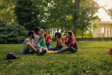 Friends having picnic in park