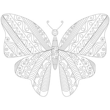 Butterfly entangle vector illustration stock