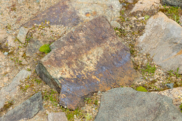Excursion to the Gran Paradiso in the Alps. Search for rocks, minerals and precious stones. Study of the surface of rocks with sedimented debris over time. Lunar landscape, Martian landscape.