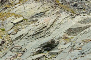 Excursion to the Gran Paradiso in the Alps. Search for rocks, minerals and precious stones. Study of the surface of rocks with sedimented debris over time. Lunar landscape, Martian landscape.
