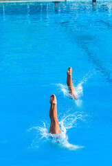 Aquatic Pool Diving Girls Pairs Action Half and Half Entry Into Blue Waters. - 519984684
