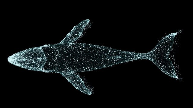 Animated Particle Whale Floats. 4K