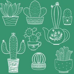 seamless background, illustrations with the image of a cactus. A set of hand-drawn cactus outlines. Elements of the nature of cactus plants