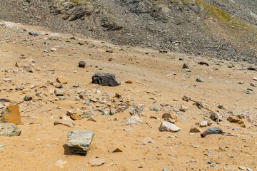 Excursion to the Gran Paradiso in the Alps. Search for rocks, minerals and precious stones. Study of the surface of rocks with sedimented debris over time. Lunar landscape, Martian landscape.