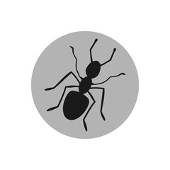 Animal ant icon. Simple illustration of Animal ant icon for web design isolated on white background