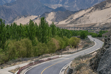 Winding S curve asphalt road running through desert oasis