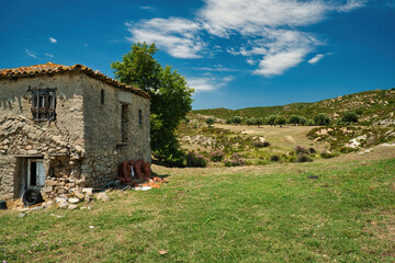 Old stonehouse .and olive trees, rural landscape in Greece