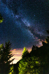 
Milky Way, long exposure, the same ones shine in the sky with a frame of pine trees on the sides....