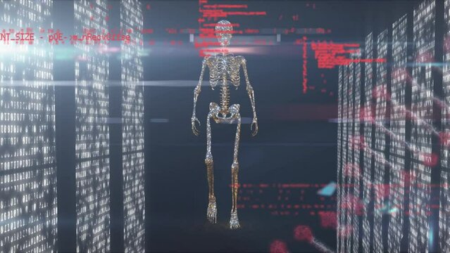 Animation of data, light in servers and skeleton