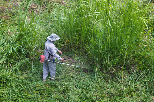 Man worker cutting grass with lawn mower