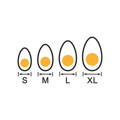 Egg sizes. Set of vector illustrations with arrows and eggs. Drawing on a white background. 