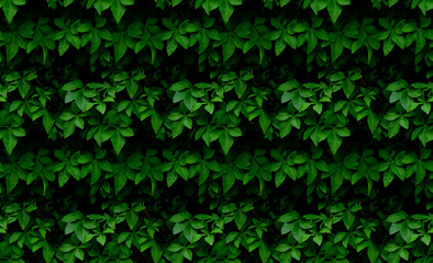 Fototapeta na wymiar Green leaf seamless texture background full