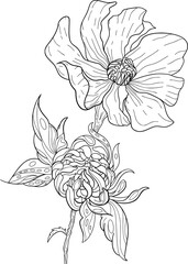 hand drawn flower composition