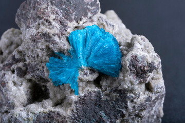 Pure blue cavansite a deep blue hydrous calcium vanadium phyllosilicate mineral