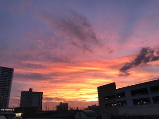夕焼け