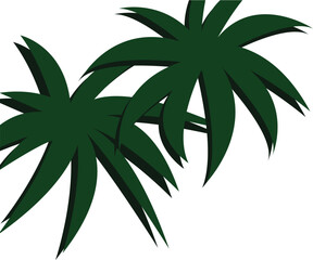 
green palm leaves on a white background