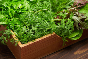 a top of bunch of green dill, parsley, salad, herbs and other greens in a wooden box, dark wood background, concept of fresh vegetables and healthy food