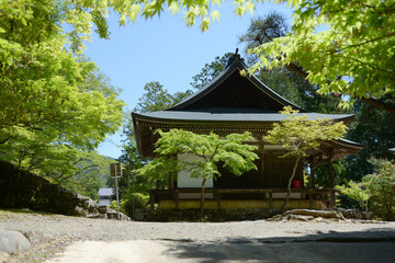 Fototapeta premium 新緑の神護寺 五大堂 京都市右京区高雄