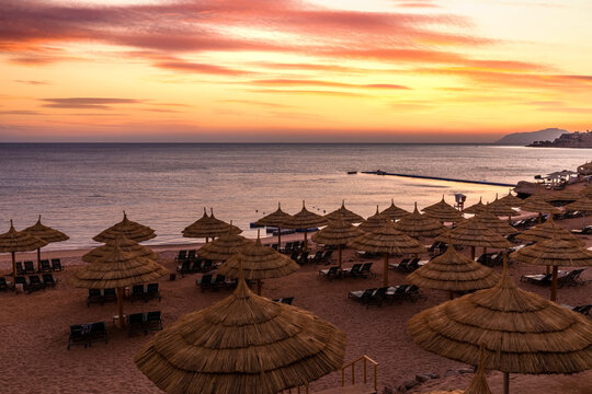 Sunset at the beach with palm trees, parasols and sunbeds. Family Holidays at Sea. Red Sea, Egypt.