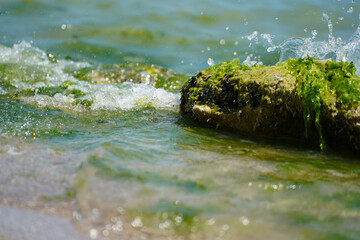 the small rock that comes out of the sea.