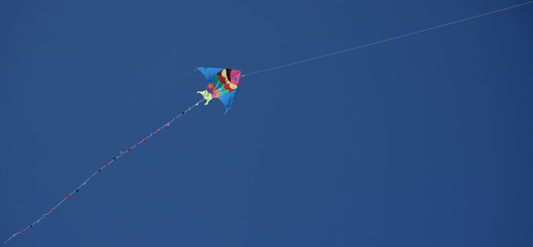 kite in the air. photo with blue background.