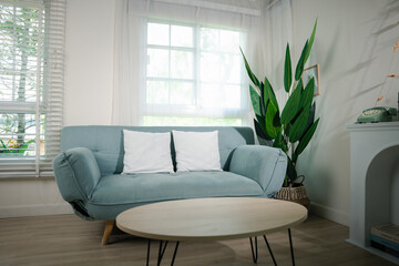 Minimal living room interior with comfortable modern green sofa near window at home sunny day, Apartment furnished empty white wall