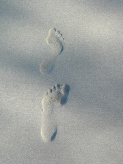 Footprints in the sand at a beach