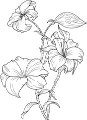 Hand drawn flower composition