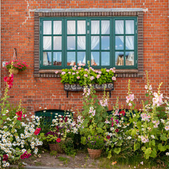 Obraz na płótnie Canvas window with flowers