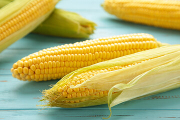 Fresh corn on cobs on blue wooden background.