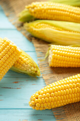 Fresh corn on cobs on blue wooden background. Vertical photo.