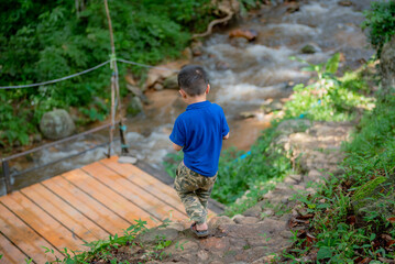 person walking in the woods