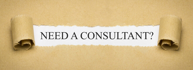 Need a Consultant?
