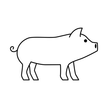 Pig icon vector design template.