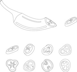 Hot pepper vector illustration. Hot pepper. Chilli. Cayenne pepper. Piece of pepper, pepper pieces with seeds, pepper circles, chopped pepper with seeds.